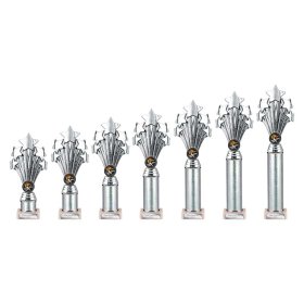 5 Star Multisport Tube Trophy Silver - 7 Sizes