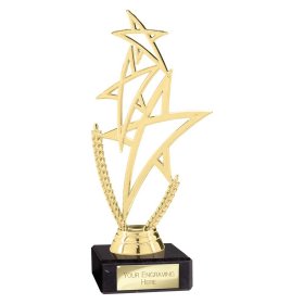 Rising Star Multi-Sport Trophy - 3 Colours - 18cm